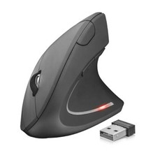 EW Ergonomics Computermaus